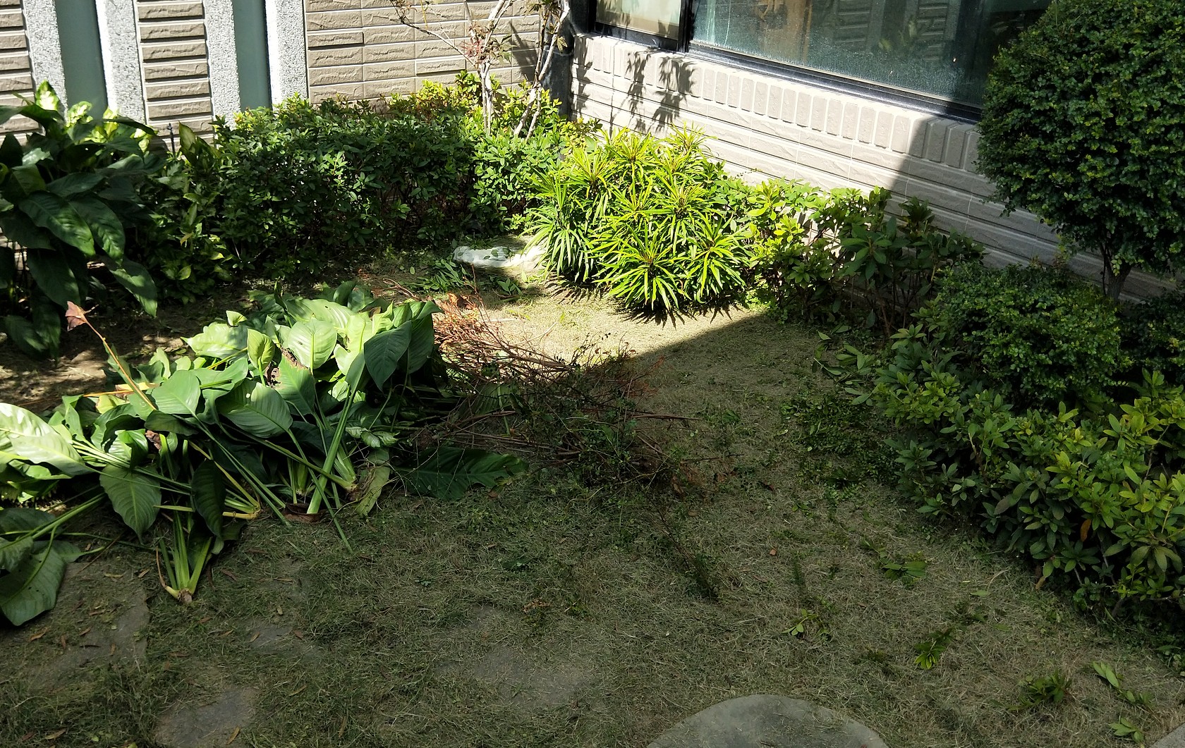 image04